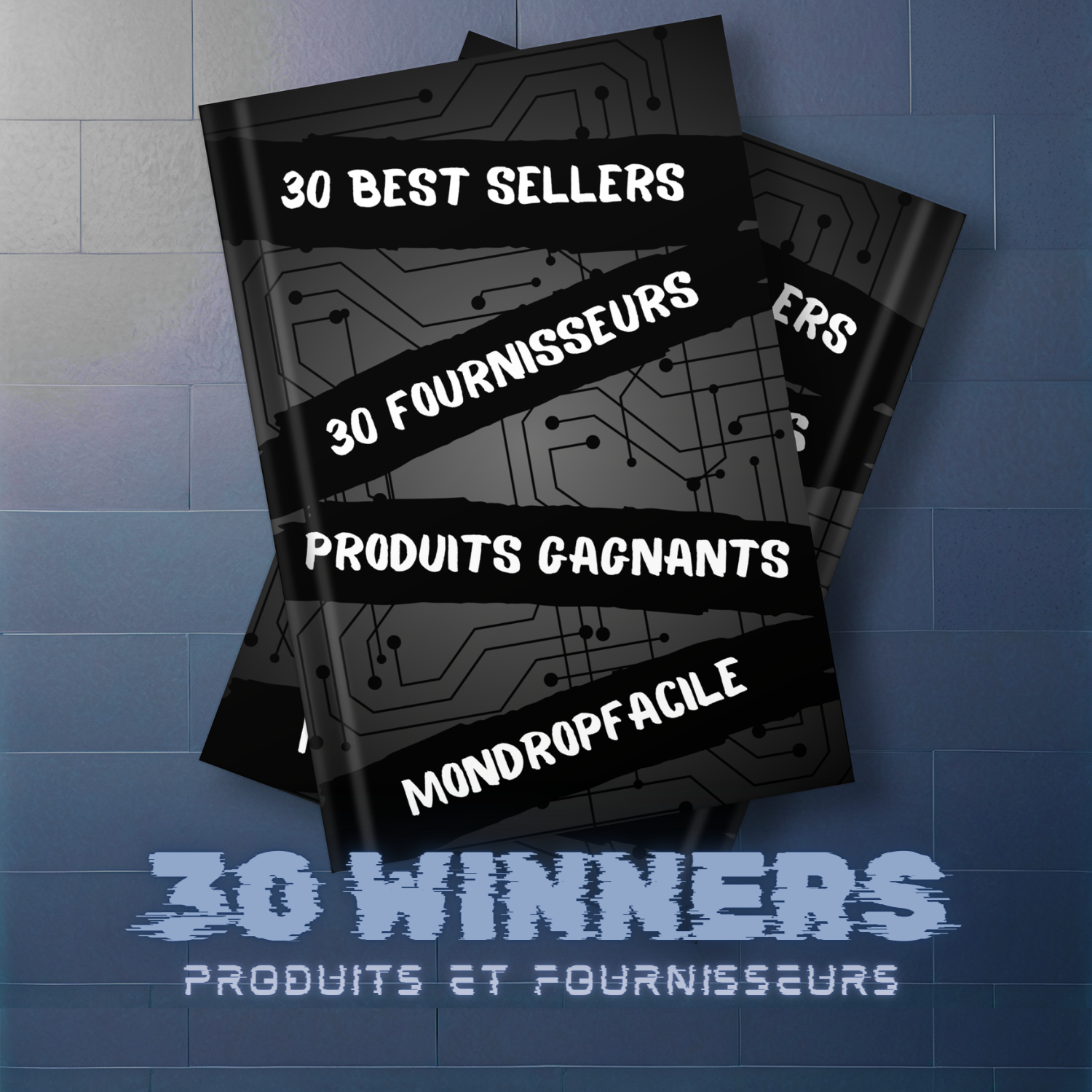Liste de 30 Produits gagnants du moment